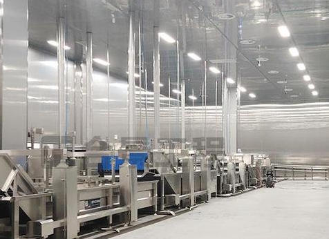 成都和諧天興食品廠(chǎng)凈化工程